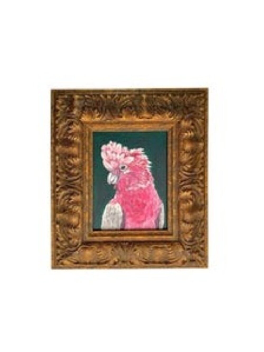 Bird Painting Cockatoo Galah Parrot Oil on Board in Ornate Frame Tropical Decor